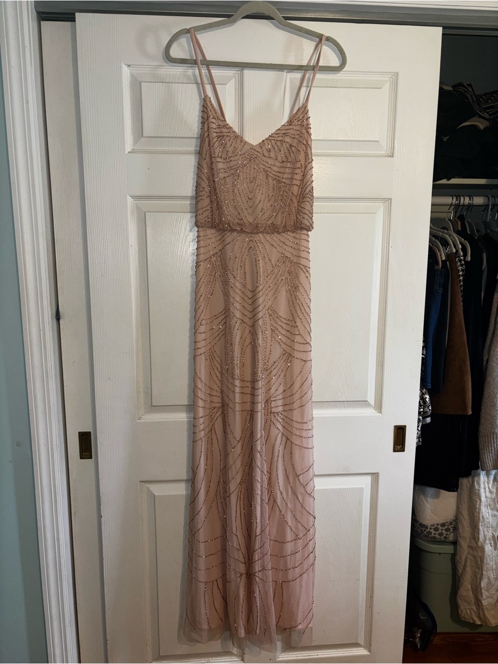 Adrianna Papell Nude Blush Beaded Maxi Dress